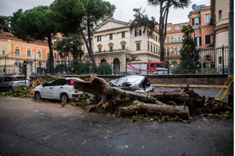 Meteo roma oggi, domani e prossimi 15 giorni | previsioni del tempo per roma e provincia con allerta meteo, temperature, precipitazioni e venti aggiornate in tempo reale Maltempo Roma, alberi e rami crollati in tutta la città ...