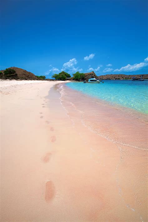 Pink Beach In Komodo Island Is One Of The Seven Pink Sand Beaches Found