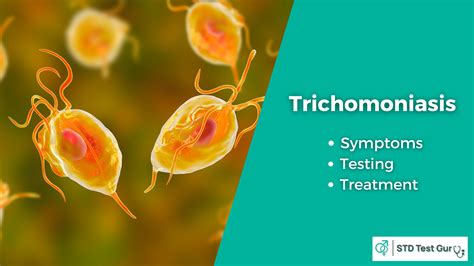 Trichomoniasis Symptoms Testing Treatment And Prevention
