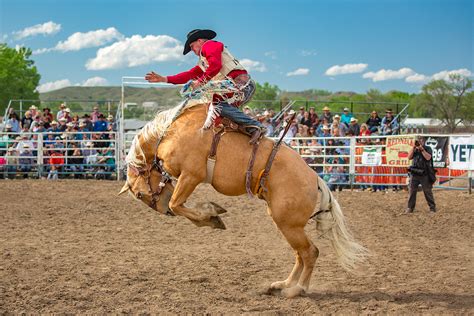 20 Photos Of Bucking Horse Sale Todd Klassy Photography