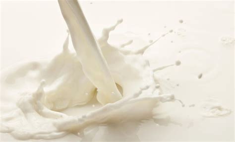 Kannattaako maitoa juoda vai ei? | Workout food, Food, Healthy lifestyle
