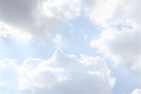 Free photo: Morning Cloudy Sky - Cloud, Morning, Sky - Free Download ...