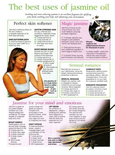 mind body spirit collection the best uses of jasmine oil essential oils herbs jasmine