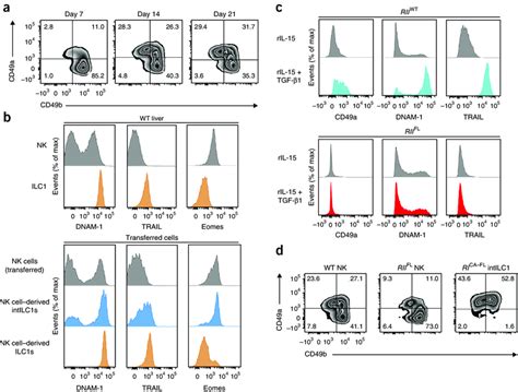 The Conversion Of Nk Cells Into Ilc1 Like Cells Is Dependent On Tgf β