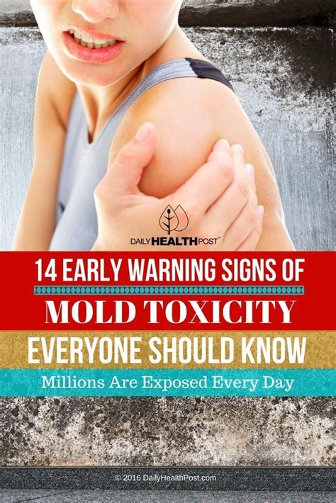 Early Warning Signs Of Mold Toxicity Everyone Should Know Millions