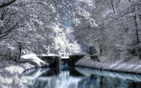 Winter Season Winter Scenery Hd Desktop Wallpaper