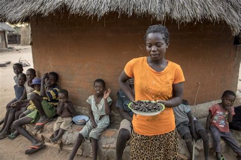 Things You May Not Know About Women Girls Hunger