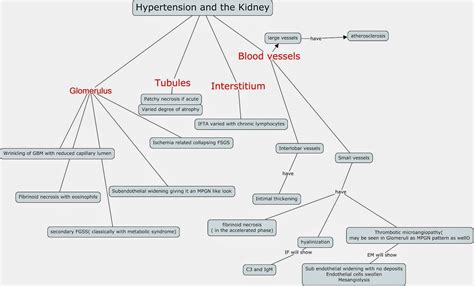Nephron Power Concept Map Pathology Findings In Hypertension And The