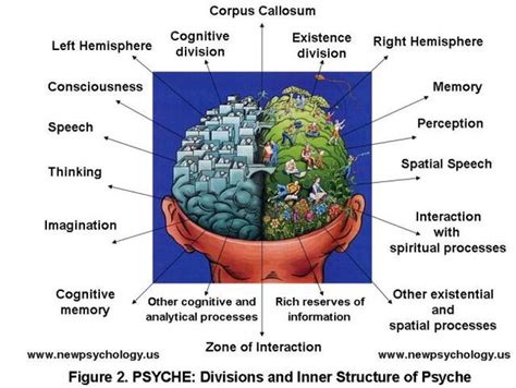 Image Determination And Study Of Psyche In The Brain Psychology
