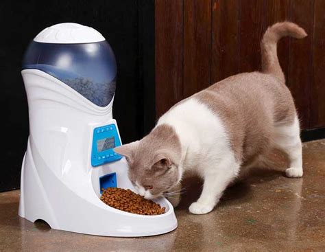 9 Best Cat Food Dispensers Of 2023