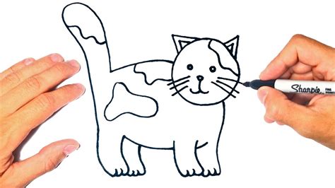 Cómo Dibujar Un Gato Fácil Dibujo De Gato