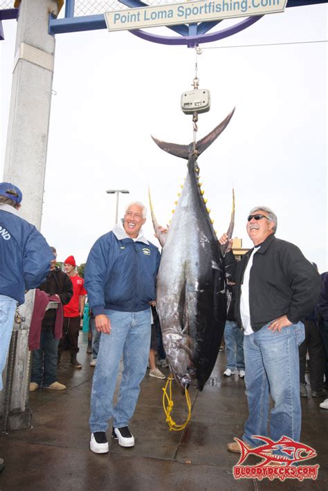 New Potential World Record Yellowfin Tuna 4052 Bloodydecks