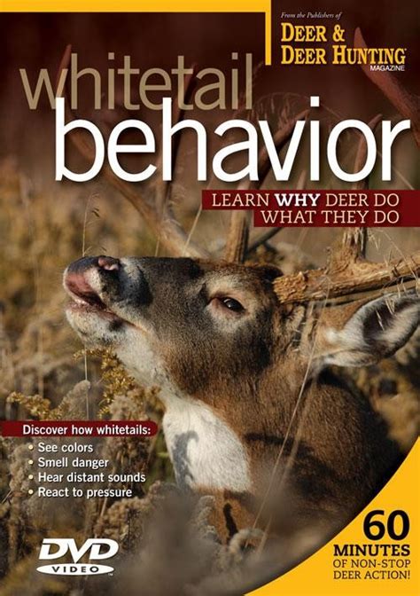 Whitetail Behavior Dvd From Deer And Deer Hunting Tv Air Gun Maniac