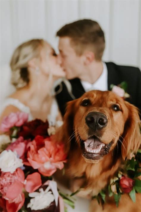 A Bride And Groom Kissing With Their Dog In Front Of Flowers On The