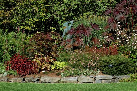 Mixed plants & shrubs border. How to Landscape Your Property Lines | Shrub, Perennials ...