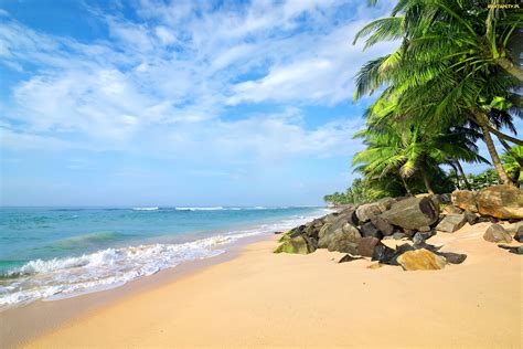 Tapety Zdjęcia Sri Lanka Palmy Plaża Kamienie Morze