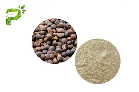 Camellia Oleifera Tea Saponins Natural Pesticides Powder Abel Seed Extract