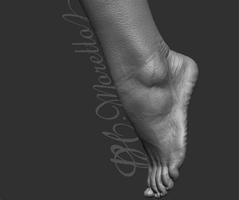 Zbrush Feet Study By Pedro Moretto On Deviantart