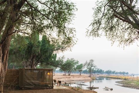 Sausage Tree Camp Zambia Timbuktu Travel
