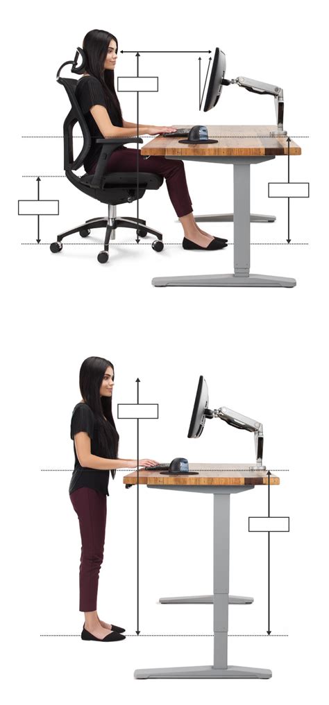 Measurements For Ergonomic Desk Setup Standing Desk Ergonomics Desk