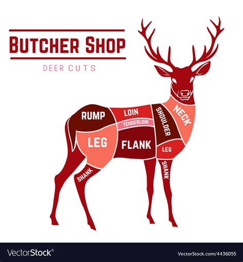 Butcher Chart Cuts Of Printable Deer Meat Cut Chart Vlr Eng Br
