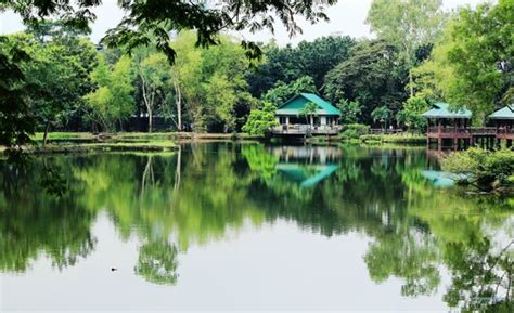 Ninoy Aquino Parks And Wildlife Center Quezon City All You Need To