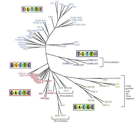 The Evolutionary History Of The Sars Coronavirus The Complete Story