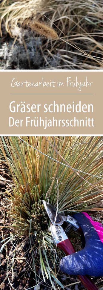 Kürzt man die frischen triebe versehentlich ein. Gräser schneiden | Gräser schneiden, Gräser im garten ...