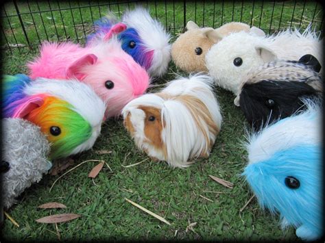 All Things Guinea Pig Guinea Pig Toy Patterns Make Your Own Sewing