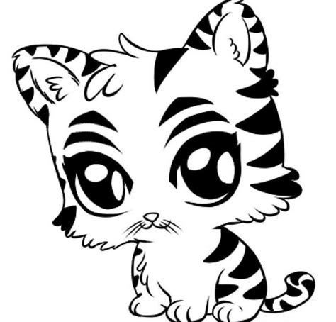 Baby White Tiger Coloring Pages At Free Printable