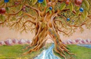 12 fruits of the tree of life. The Twelve Fruit Trees ‹ First Presbyterian Winter Haven
