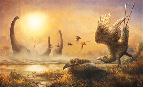 Rare Cretaceous Age Fossil Opens New Chapter In Story Of Bird Evolution Sbu News