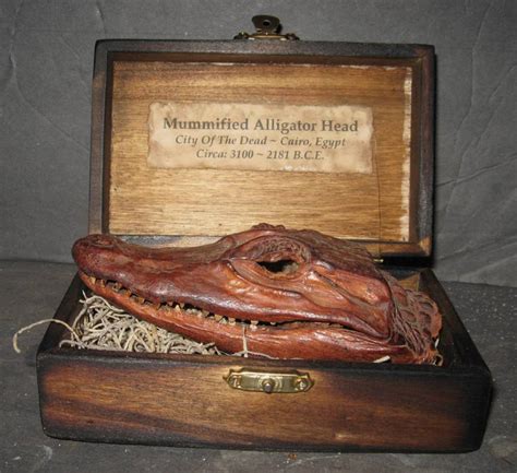 Mummified Alligator Head Gaff By Dethcheez On Deviantart