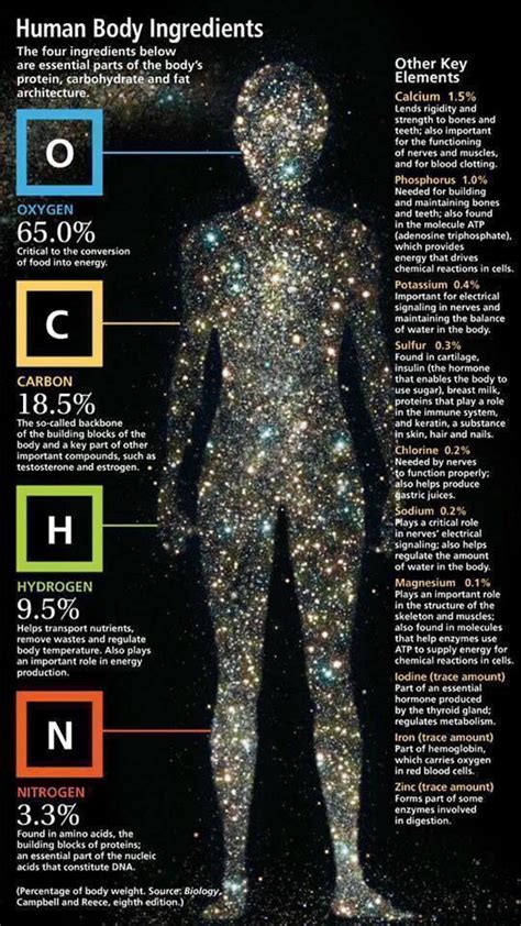 You Are Made Of Stars Chemistry Human Body Life Science