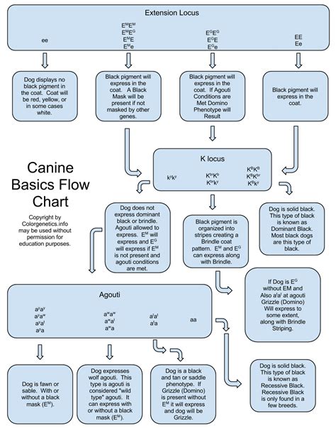 Canine Coat Color Basics What Color Is My Dog Color Genetics