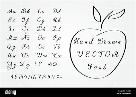 Vector Hand Drawn Font Elegant Cursive Writing Stock Vector Image