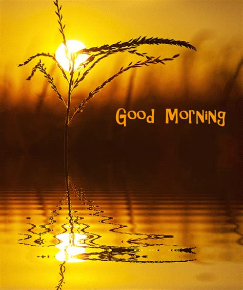 Susijęs Vaizdas Good Morning Sunrise Morning Pictures Good Morning