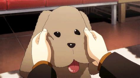 Anime Pets Pug Cool And Funny Chubby Hart Robjecia