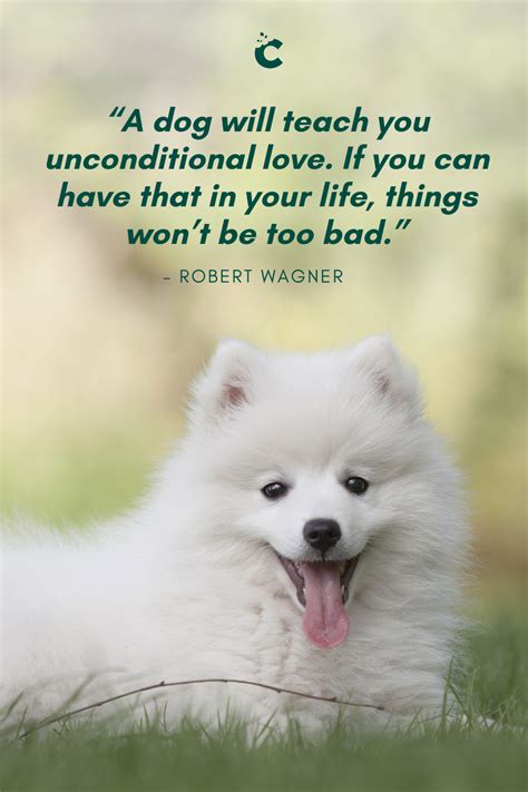 A Dog Will Teach You Unconditional Love If You Can Have That In Your