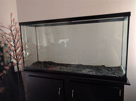 If You Had A 60 Gallon Tank To Turn Into A Terrarium What Would You Do