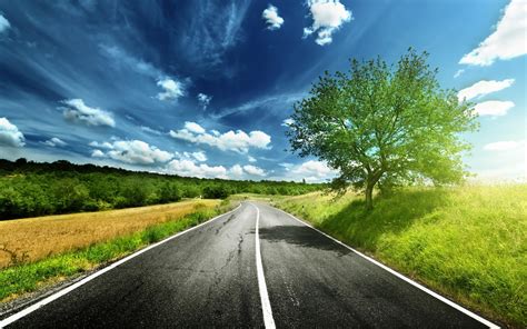 Road Hd Wallpaper Background Image 2560x1600
