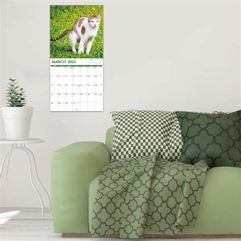 2022 Wall Calendar Pooping Cat Calendar 2022 Starts From Jan 2022
