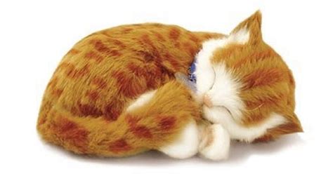 Perfect Orange Tabby Plush Breathing Huggable Animal Cat Real Kitten S