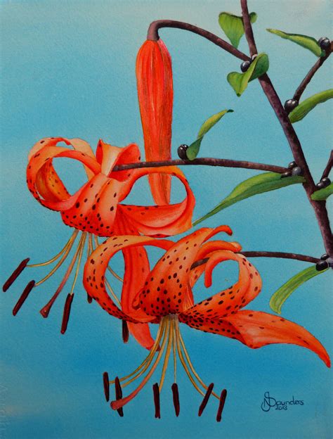 Tiger Lilies By Nicki Saunders Original Watercolour Original