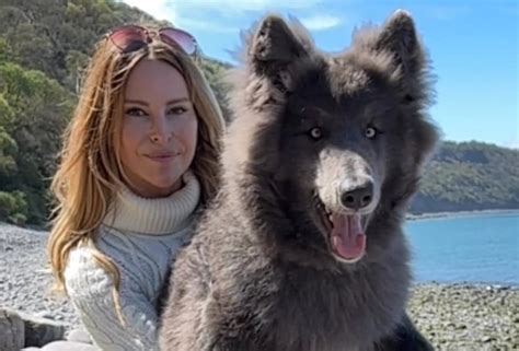 Woman Introduces Her Super Rare Blue Wolf Pup And Shes Already A Sensation