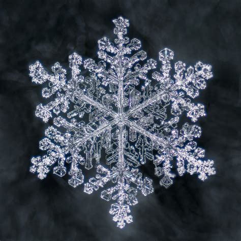 How To Photograph Snowflakes And Blow Your Mind — Craig Goodwin