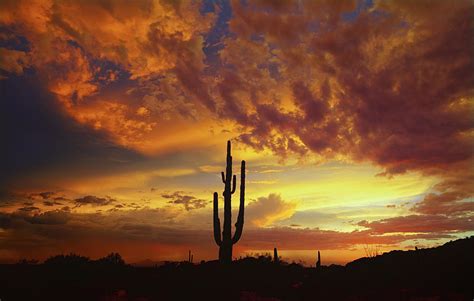 The Beauty Of The Desert Skies Photograph By Saija Lehtonen Fine Art