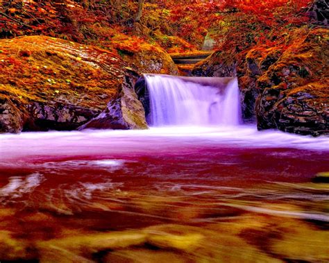 Autumn Forest Falls Nature Waterfall 745340 2560x1600 Waterfall