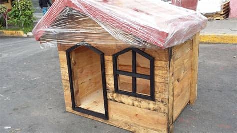 Los perros con desnutrición suelen tener problemas para. Casa Para Perro Con Ventana - $ 2,000.00 en Mercado Libre