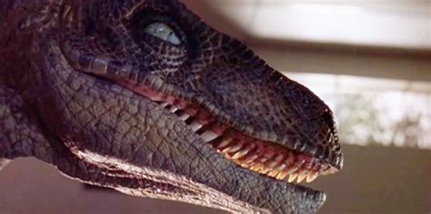 Cool Stuff Get Your Very Own Jurassic Park Velociraptor Head Now